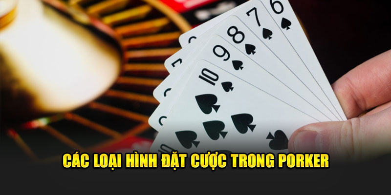 Các loại hình đặt cược trong porker