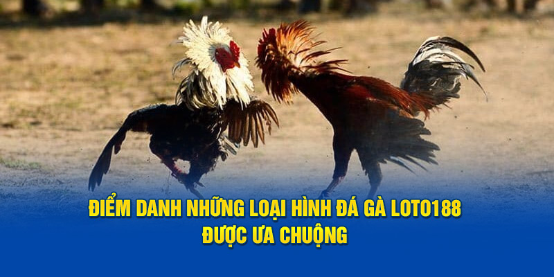 Điểm danh những loại hình đà gà Loto188 được ưa chuộng