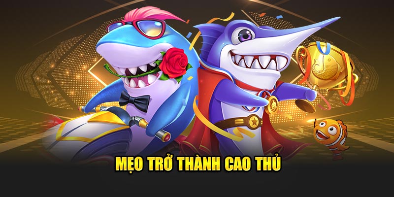 Mẹo trở thành cao thủ 